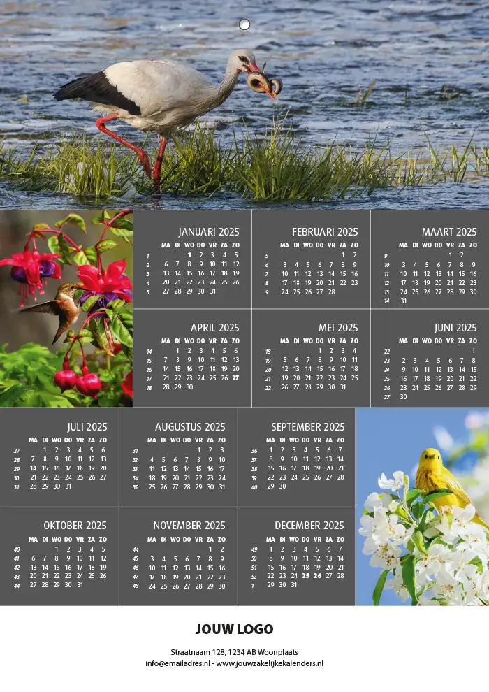 A4 wandkalender vogels