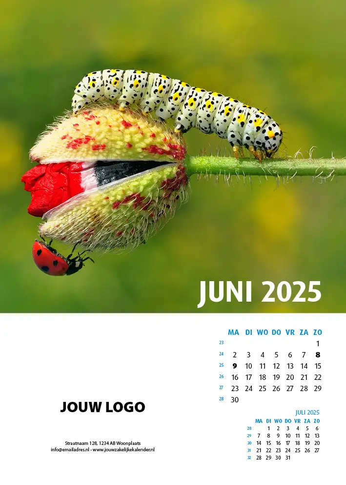 Wandkalender Natuur 2025